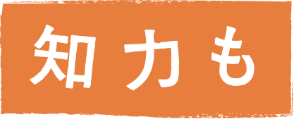 知力も