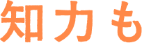 知力も