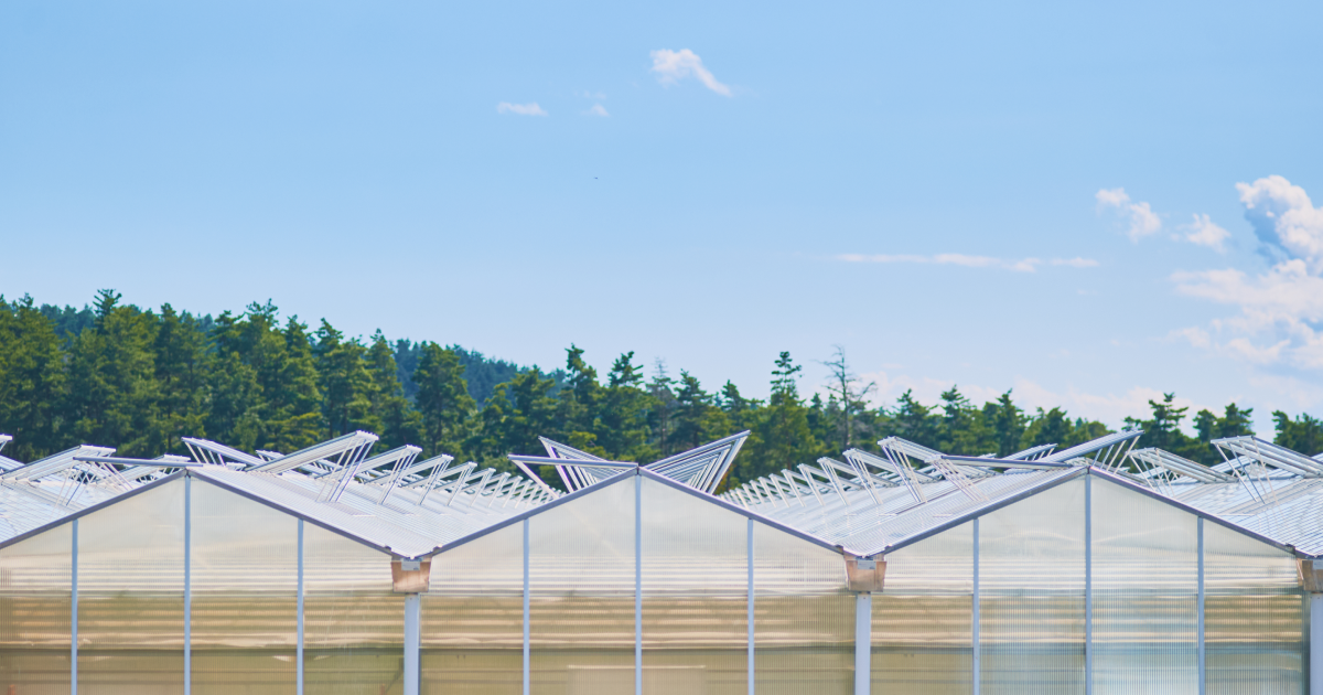 農業法人サラダボウル